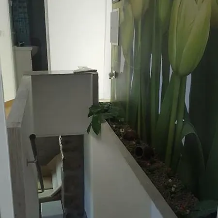 度假居 Solar Da Rubi 阿尔库什迪瓦尔德维什